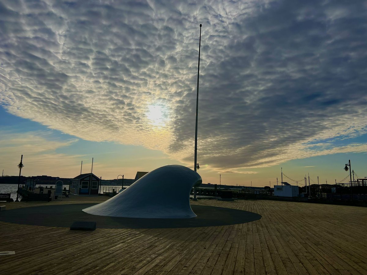 Tricia Doyle tweet media