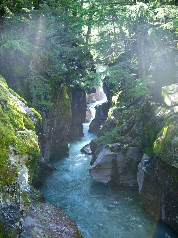 Misty River Gorge, Glacier National Park, Montana #MistyRiverGorge #GlacierNationalPark #Montana traceymoyer.com