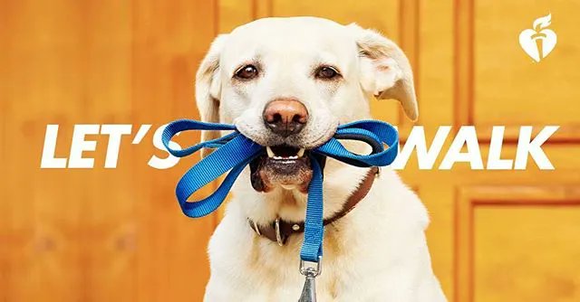 theTruistArena's tweet photo. Its #NationalWalkingDay! #GetUpAndWalk https://t.co/VpOC9PfVcA