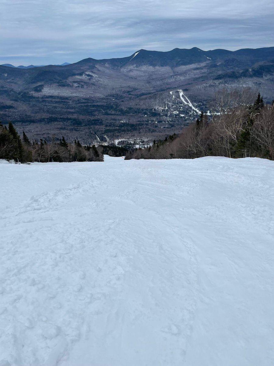 Pinner High School tweet media