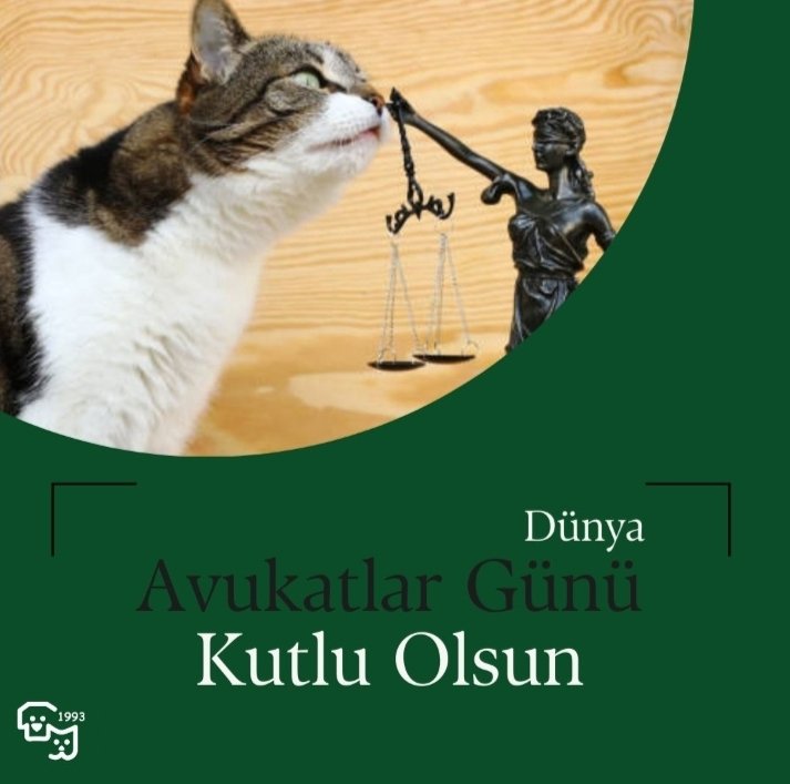 Hukukun üstünlüğünü sadece insanlar için değil, çevre ve tüm canlar için savunan doğa ve hayvan dostu tüm avukatlarımızın günü kutlu olsun..

Dr. Tarkan Özçetin