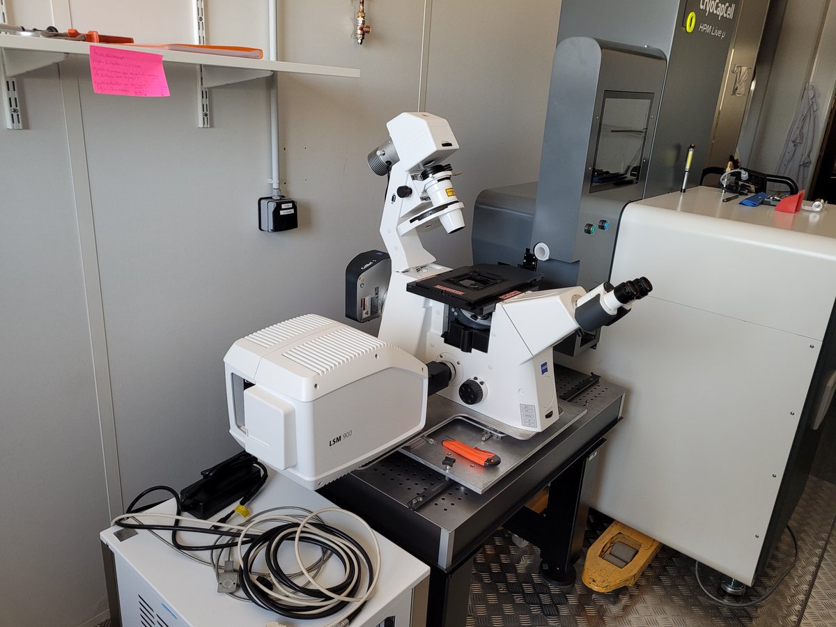 Aurelien Dupont tweet media