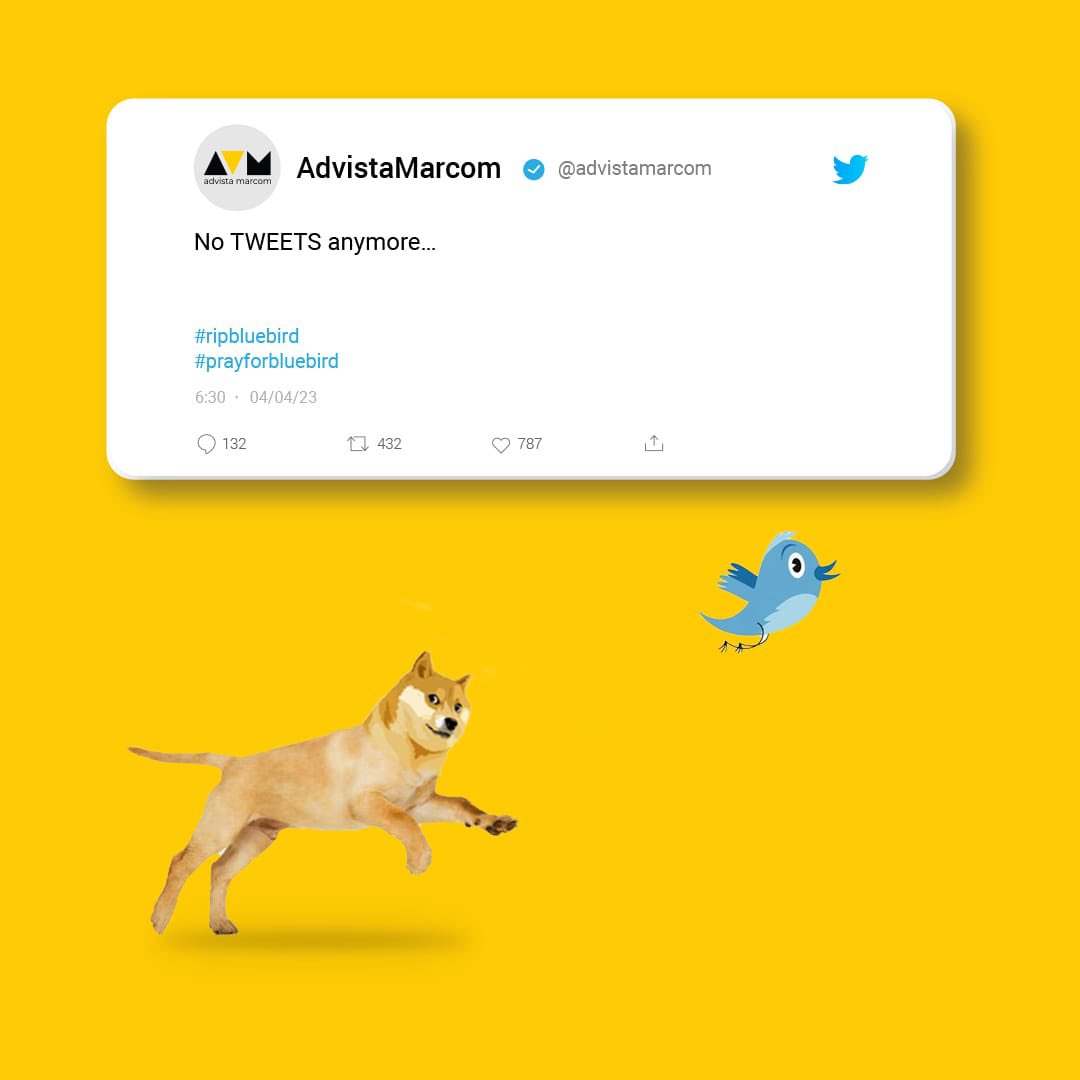 advistamarcom's tweet photo. We can only hope that it is temporary.
#Trending #TopicalSpot #TrendingNow #Topical #MomentMarketing #Twitter #ThePowerofVoice #AVM #AdvistaMarcom #SocialMedia #Branding #Marketing #SocialMedia #DigitalMediaMarketing #MovesOfMarketing #branding #logodesigner #logoinspirations https://t.co/MHwLKVjTBt
