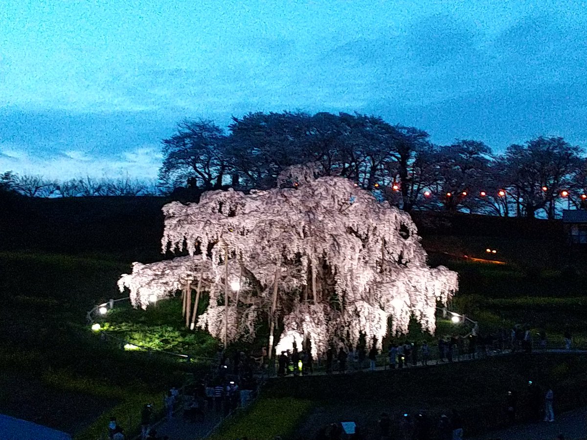 うっchan♪ tweet media