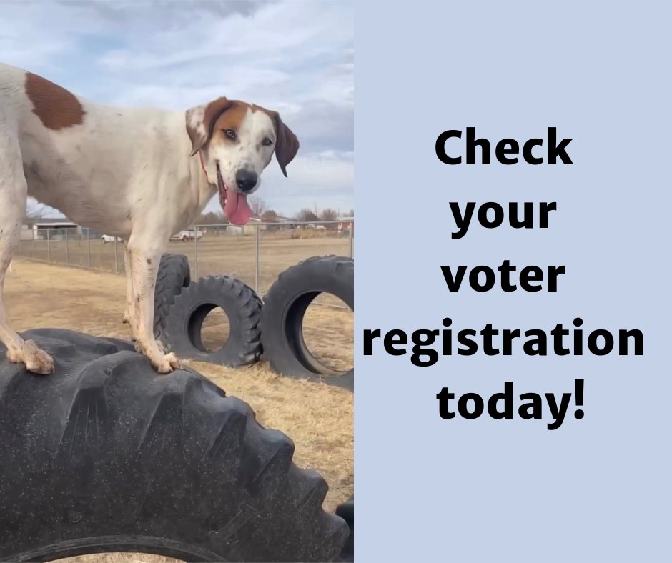 Don't get stuck in the wrong place!  Check your Texas voter registration today at teamrv-mvp.sos.texas.gov/MVP/mvp.do
Deadline to register or update your voter registration  is tomorrow, Thursday, April 6!