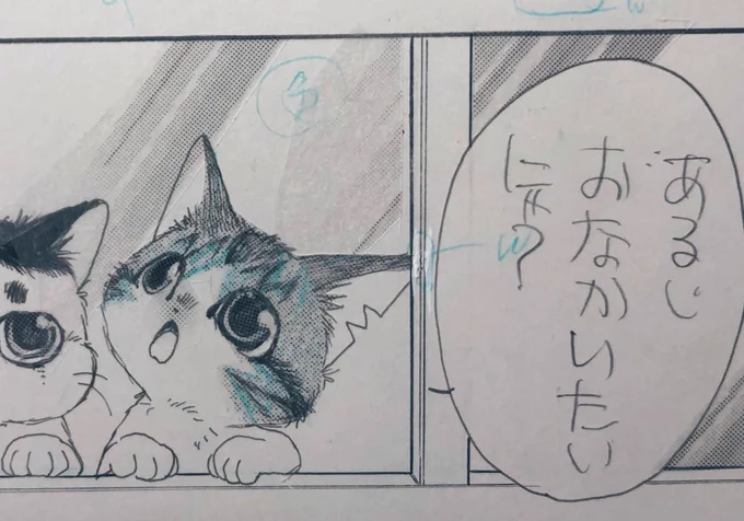 ひさしく書き込みできなくてごめんなさい🙏
なかなからくがきして絵をアップする余裕がなくて💦
次号cheese!は『うちネコ』二本立てです!
連載を始めた頃からずっとあたためていた主の過去がらみのお話…
読んで頂けると嬉しいです😊
#うちの犬が子ネコ拾いました
#竜山さゆり 
