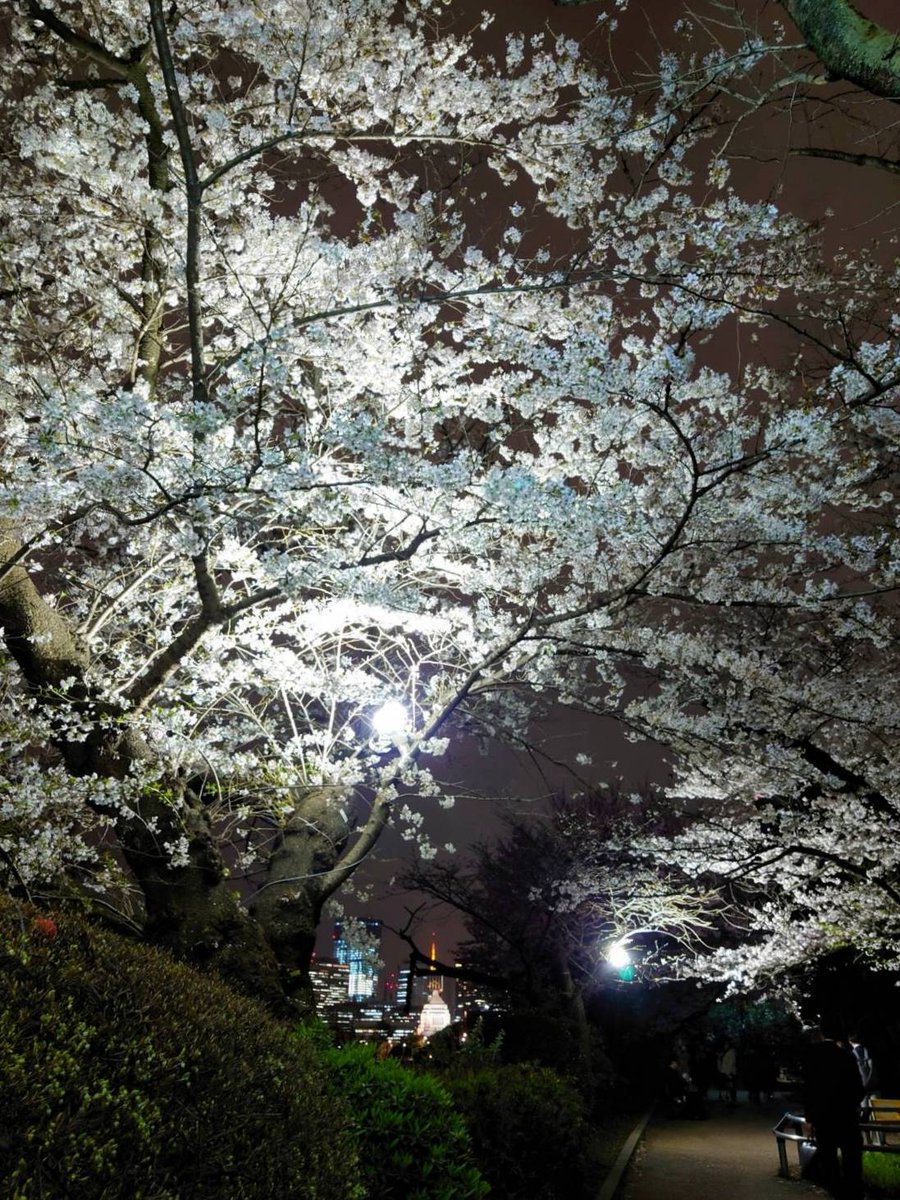 優しいお言葉をかけていただきありがとうございました。(オペラシティ・東北ユースオーケストラ(坂本龍一監督))