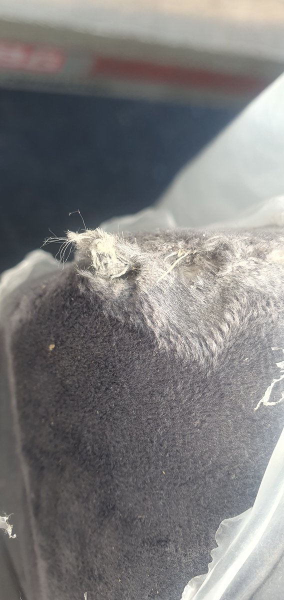 marksmi20282298's tweet photo. @tr_ctree @BensonsForBeds @Bensons_Care Seems all Bensons for Beds are good at is delivering damaged beds, not 1, or 2 but all 3 of my new beds yesterday arrived with significant damage, apparently I just have to wait until the 10th May for replacements but I can order off their website for delivery 25th April!!!! https://t.co/LmYFMuLcqf