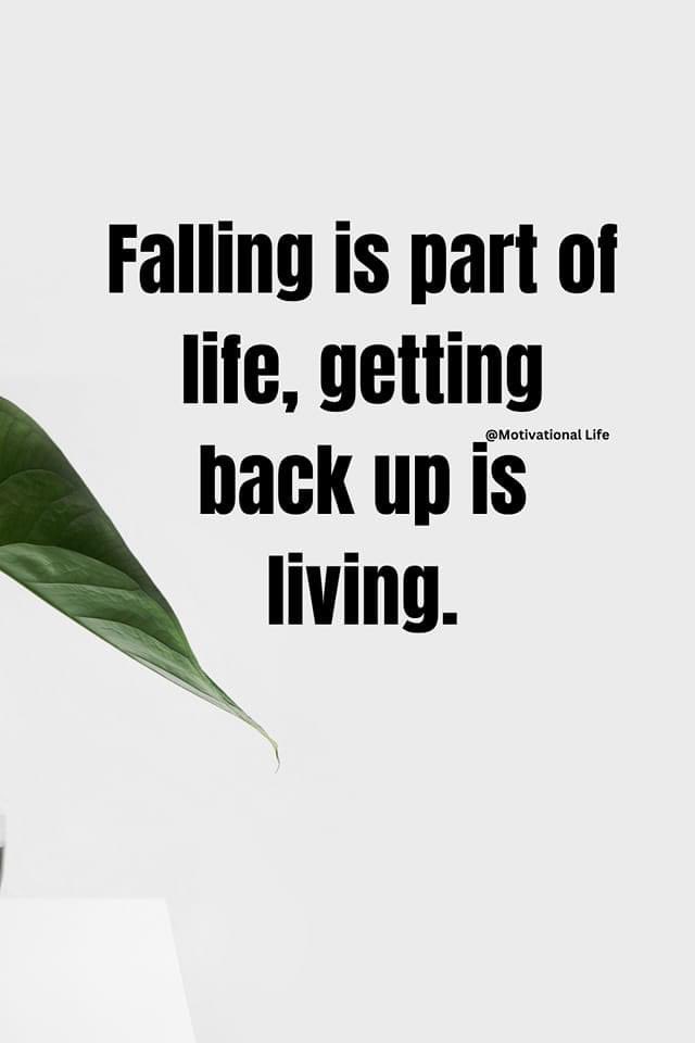 cathie_donnell's tweet photo. https://t.co/ayNI8SQ0AE