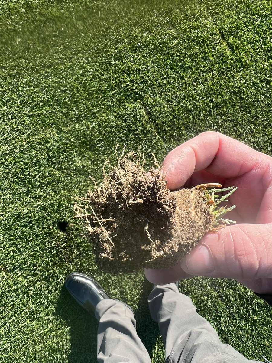 Don Thornburgh tweet media