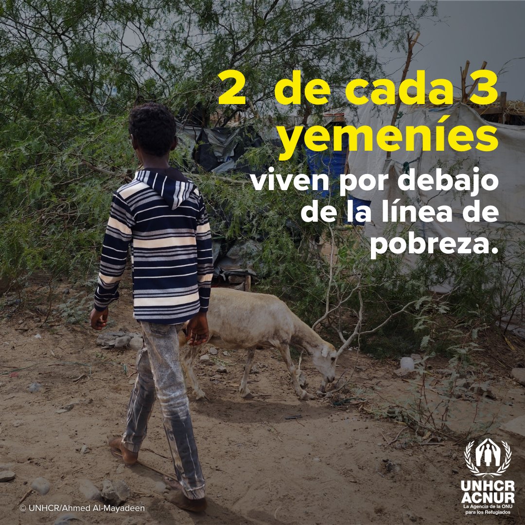 🔴 Más de 8 años de un conflicto devastador y continuado han convertido a #Yemen en una de las peores crisis humanitarias del mundo.

Este conflicto tiene que acabar. La población de Yemen necesita #paz.

#YemenNoPuedeEsperar