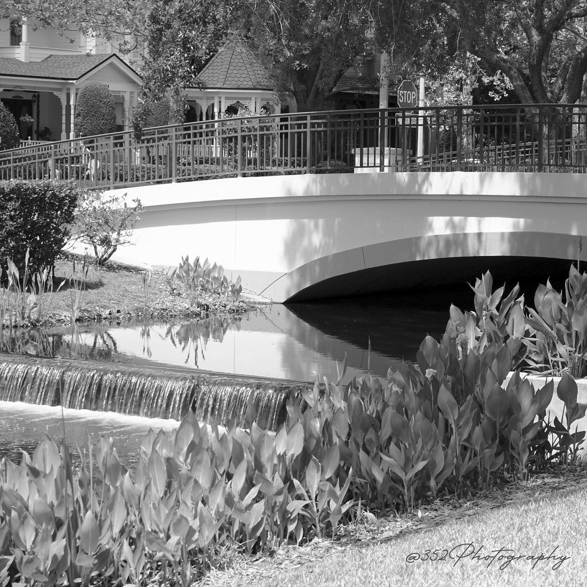 'Just another day in the park'
#blackandwhitephotography #bnw #blackandwhite #bnwphotography #portraitphotography #portrait #art #photography #photographer #photo #monochrome #photoshoot #moments_in_portraits #portraits #picoftheday #photooftheday #NaturePhotography #fotografia