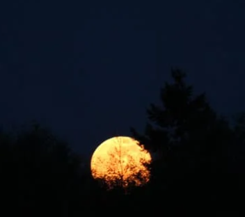 HelpPicture's tweet photo. ⭐GOOD NEWS⭐
April's full moon, known as the Pink Moon, will be visible in the early hours of Thursday morning. It is expected to reach its peak brightness at about 5.34 am UK time. Let us know if you plan to get up and see it! https://t.co/F2MHnic4Ci