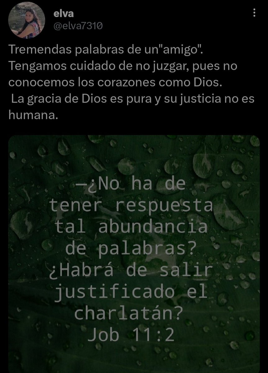 elva7310's tweet photo. #rpsp #Job11 #MiBibliaDice como seres humanos tratamos de dar respuesta a todo y muchas veces erramos , cuidemos de aquellos a quienes decimos que son importantes . No juzguemos . https://t.co/01QrhG6L1t