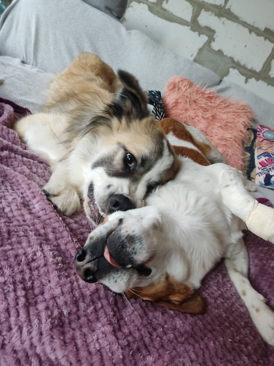 Ich mag Kuseng Ori! 💞