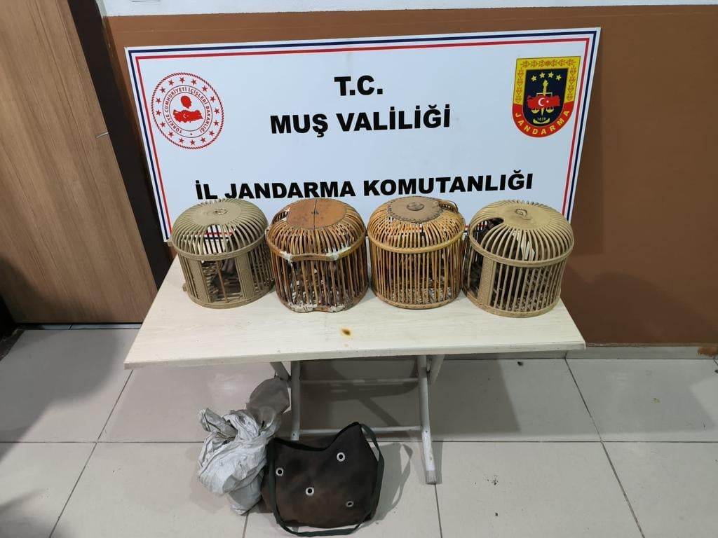Kafes Avcılığı yaptığı tespit edilen 3 kişi hakkında tutanak düzenlemiş, 8 adet Kınalı Kekliğe, Kafes ve Tuzaklama Malzemelerine el konulmuştur. Şahıslar hakkında İdari ve Tazminat Kararı alınacaktır. 
    Destekleri için Malazgirt Jan. K. K. personellerine çok teşekkür ediyoruz