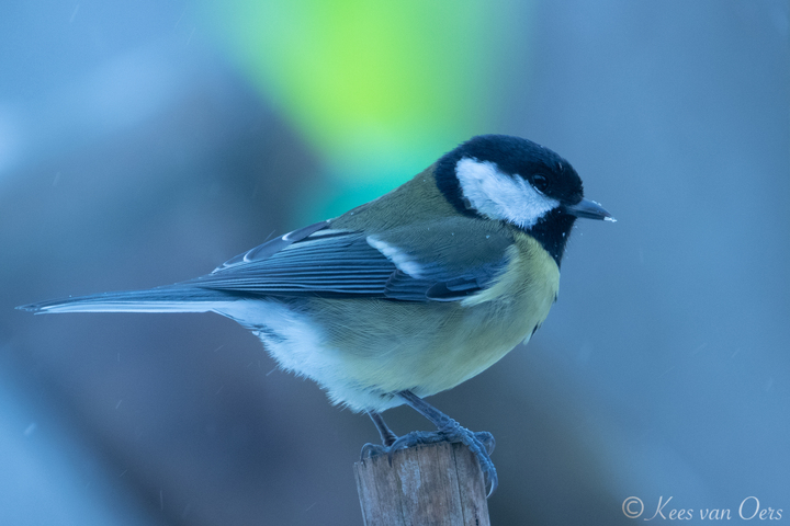 Melanie Lindner tweet media