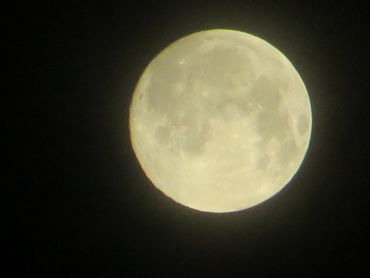 spuddoc's tweet photo. Some messy weather coming to PEI tonight/tomorrow according to @JayScotland @tsimpkin so grabbed this shot of the Pink Moon this morning at 99.3% full. #moongeek #frommydeck https://t.co/cTRV2GwBRJ