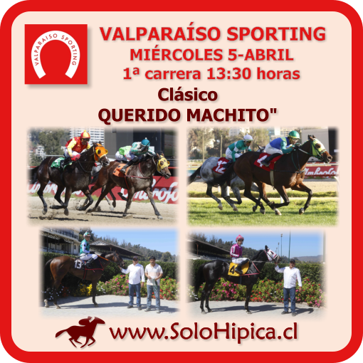 solohipica's tweet photo. Patrocinado por "Stud EDGARDO AREVALO": VALPARAÍSO SPORTING (Miércoles 5-Abril) Disponibles Programa PDF, AprontesFS, Retiros FS y Novedades https://t.co/KY6U2IUCVo #solohipica #ValparaísoSporting #ProgramaPDF #AprontesFS #RetirosFS #Hípica #CarrerasDeCaballos #StudEdgardoArevalo https://t.co/UAporPI5zr