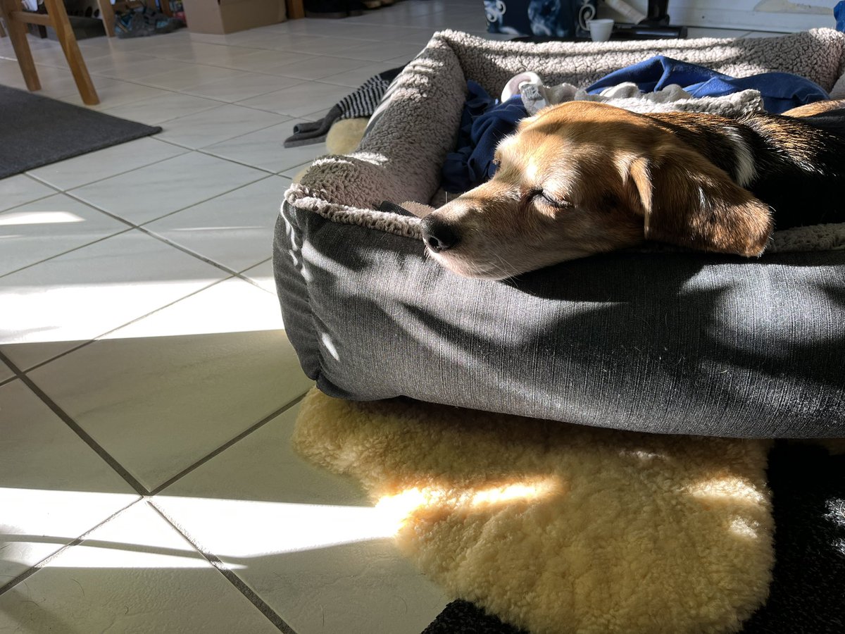 ehaffson tweet media