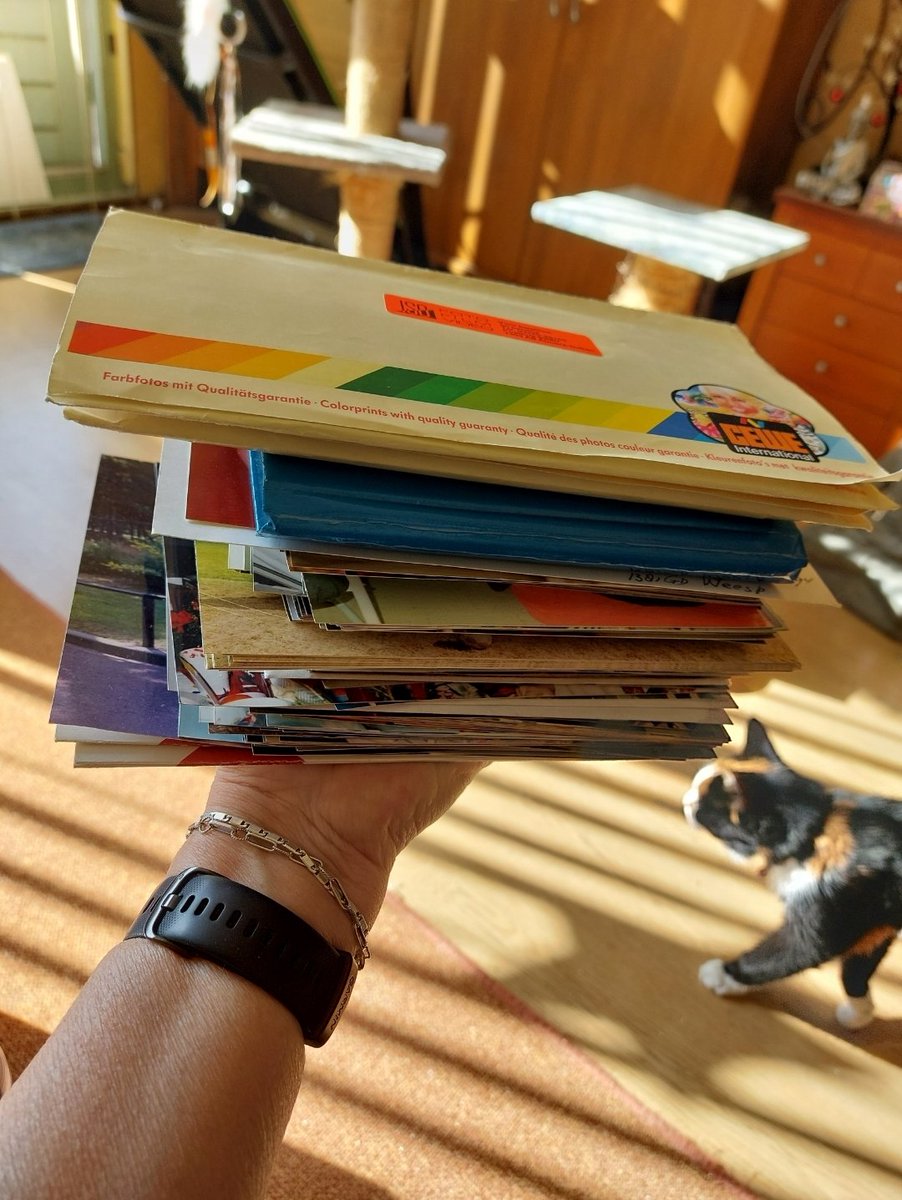 itsAssie's tweet image. Dat je een kamertje gaat opruimen en een laatje opendoet die vol zit met oude foto&apos;s. 
Nu koffie terug in de tijd naar kinderfoto&apos;s van de jongens, mijn Duitse dog Dinghus, mijn afscheidsfeestje bij Shell en wat ik nog meer tegenkom. Voorlopig wel even zoet #tripdownmemorylane