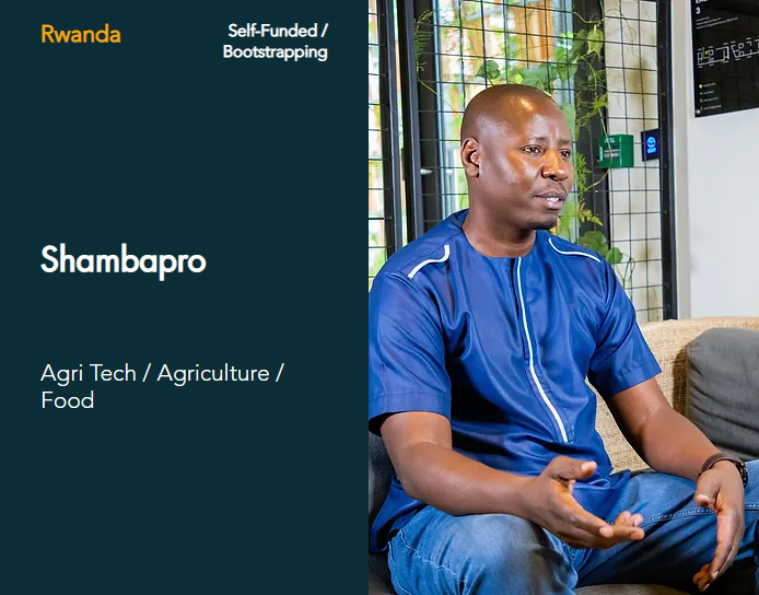 Shambapro tweet media