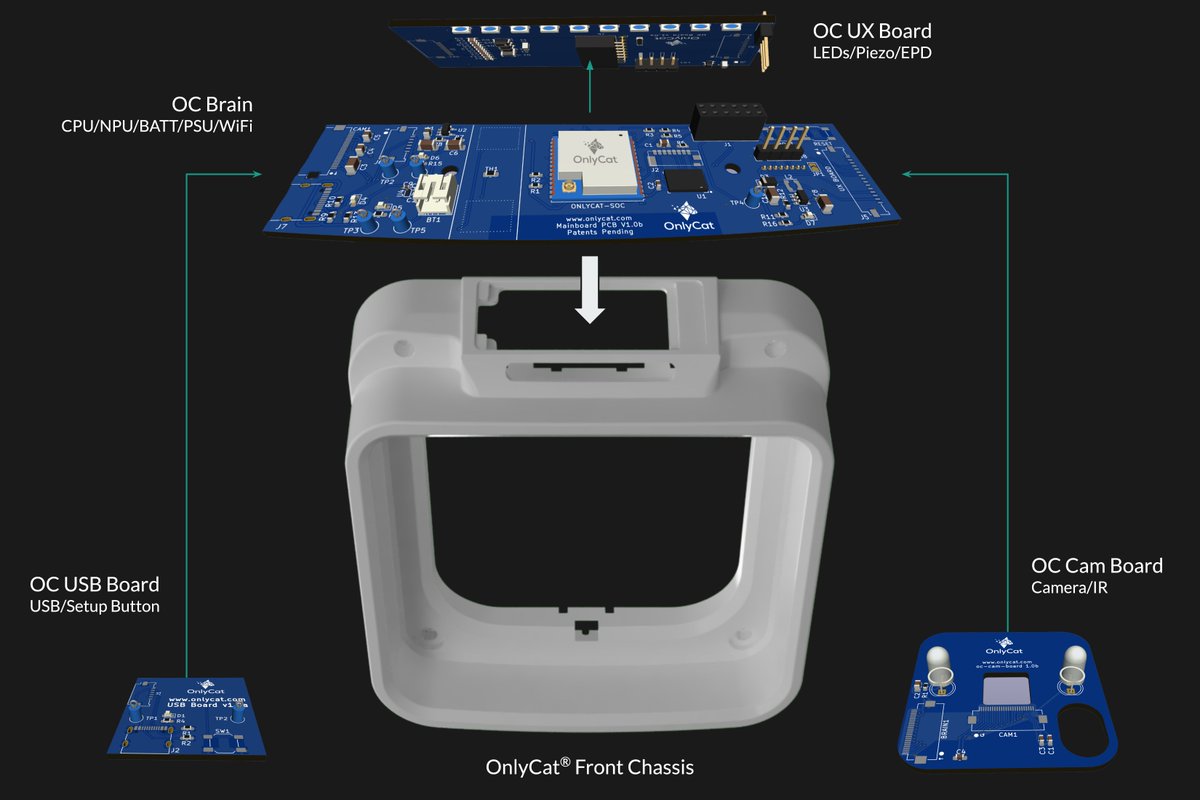 OnlyCatAI tweet media