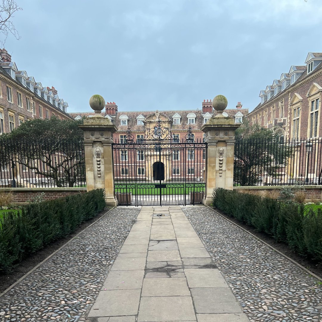 Oxford Summer Courses tweet media