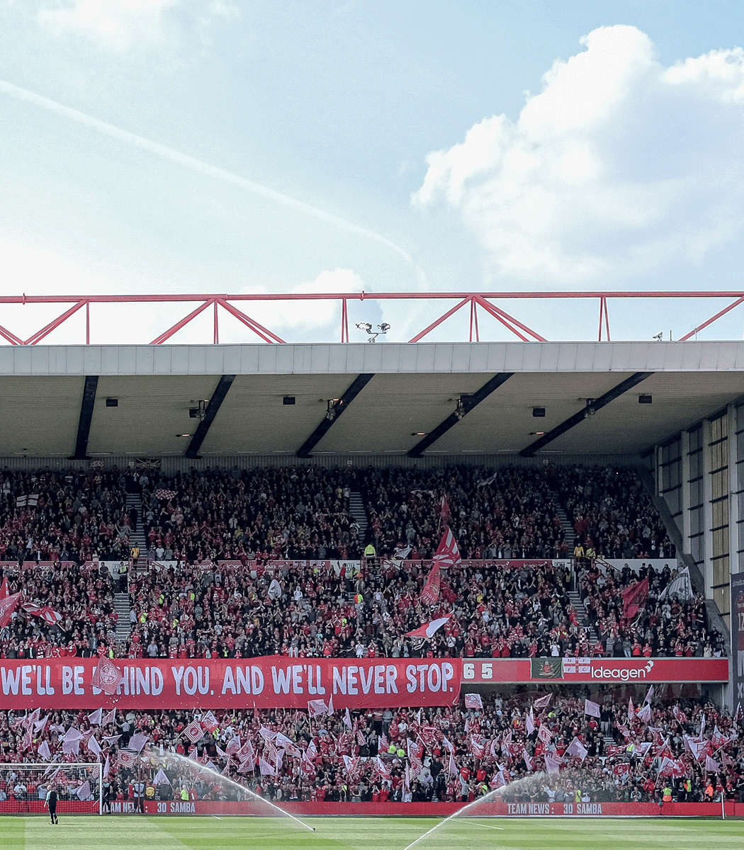GloriousBanners's tweet image. Now more than ever (especially Cooper) 🌳♥️

#NFFC