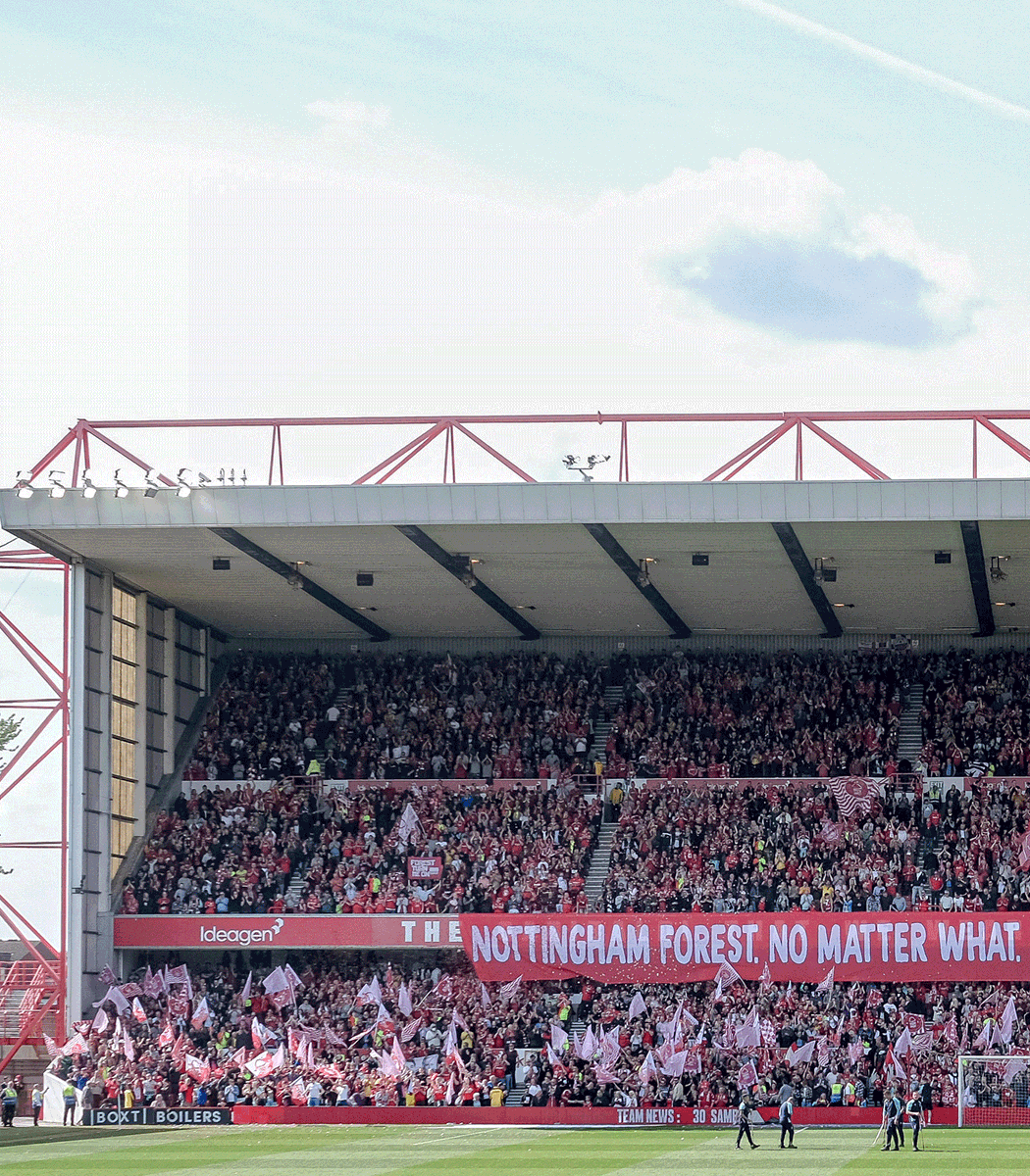 GloriousBanners's tweet image. Now more than ever (especially Cooper) 🌳♥️

#NFFC
