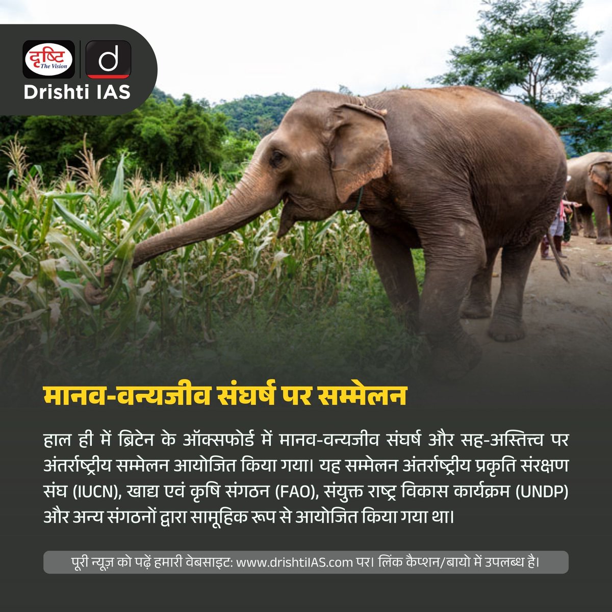 drishtiias's tweet photo. मानव-वन्यजीव संघर्ष पर सम्मेलन
.
न्यूज़ लिंक : https://t.co/NfcjbclSt5
.

#ConferenceonHumanWildlifeConflict #HumanWildlifeConflict #human #fao #undp #iucn #sdg #animals #species #ecology #conservations #WildlifeProtectionAct #uncbd #projectelephant #websitenewswithdrishtiias https://t.co/6GB8MIRN0r