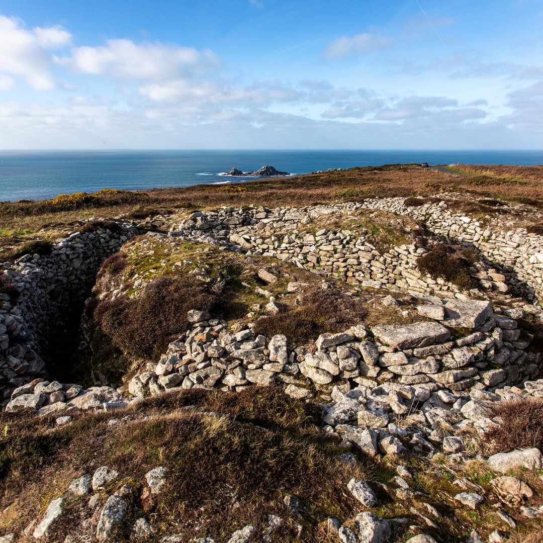 EXPERIENCE Project Cornwall tweet media