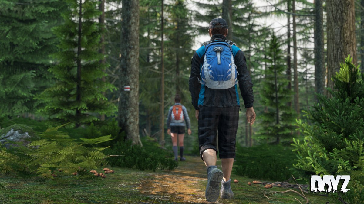 DayZ 🖥 🎮 ️ on Twitter "🚶‍♀️How are you entertaining yourself in DayZ