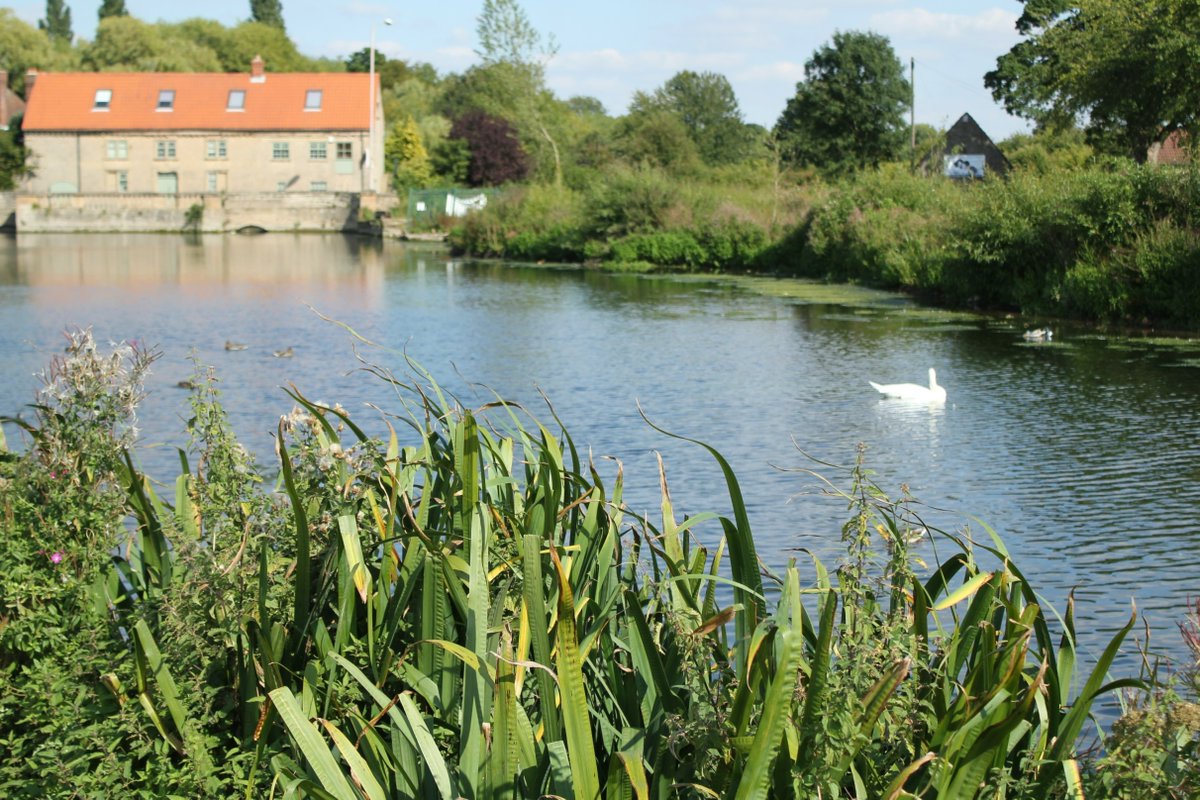 🧭Today, our Xplorer activity will be at The Carrs, NG20 0SF, from 1.30pm to 3.30pm!

Come along and bring the family for a fun way to get out and explore. 

👉To find out more about Xplorer, please visit: xplorer.org.uk