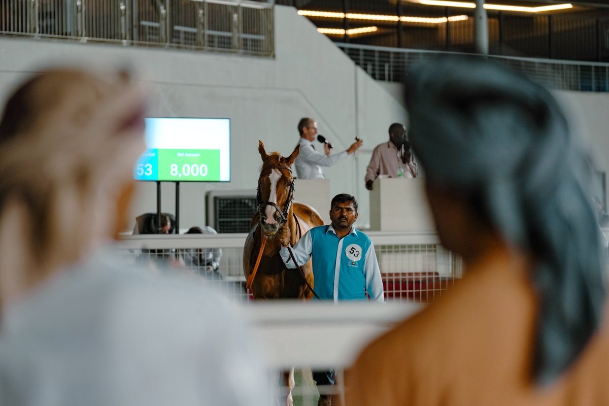 RacingDubai's tweet photo. 📸📸📸
Did our cameras spot you at the #HITSale last night? https://t.co/q3ydOpv5TG
