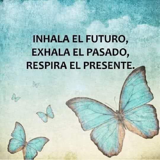 DelValleGreen's tweet photo. Muy claro y preciso ✳️🌸✳️🌸 https://t.co/GfOjZA4NRr