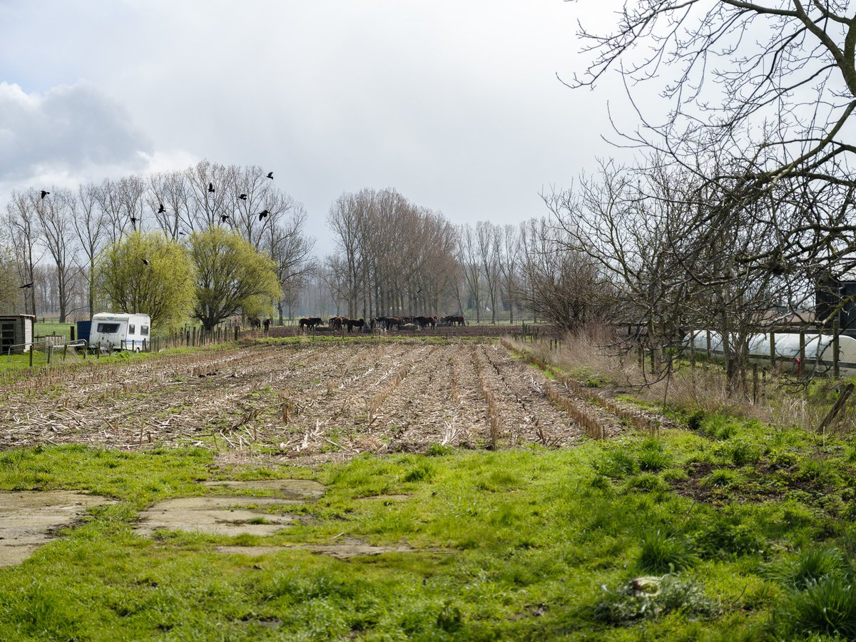 IMMO_CVH's tweet photo. Binnenkort in ons aanbod 🤩
TE KOOP - Karaktervolle woning met bijgebouwen in dorpskern

Benieuwd? Contacteer nu reeds ons kantoor voor meer informatie: info@immo-cvh.be 

#ImmoCVH #Gent #SintKruisWinkel #Vastgoed #TeKoop #ForSale #RealEstate #Landbouw #Bijgebouwen #ImmoGent https://t.co/Jj8AQKE8XH