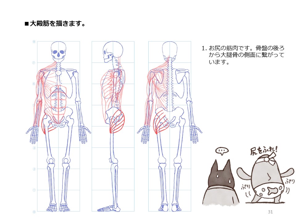 簡単マスター人体三面図(9/13)
肩甲骨からあばら骨に繋がっている前鋸筋を描きます。肩甲骨には様々な筋肉が繋がっていることをご理解いただけたと思います。そして、お尻の筋肉を描いていきます。
PDF版のDLはこちら。
https://t.co/Eau7nCEvz0