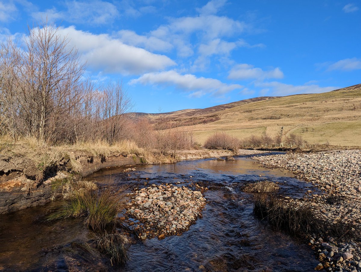 Dr Rebecca Wade (@rebeccacarrotte) on Twitter photo <a href="/willied28708159/">willie duncan</a> <a href="/UKRiverPrize/">UK River Prize</a> <a href="/Southesknews/">South Esk Catchment</a> <a href="/AbertayUni/">Abertay University</a> 10 years on, the #RottalBurn still keeps evolving, responding to rainfall events, reconnecting with its flood plain, re-engaging natural processes & creating increasingly diverse habitat. It's an amazing river to study & to share with others. <a href="/EsksBoard/">Esks Fishery Board</a> <a href="/The_RRC/">The RRC</a> #riversprize <a href="/willied28708159/">willie duncan</a> <a href="/UKRiverPrize/">UK River Prize</a> <a href="/Southesknews/">South Esk Catchment</a> <a href="/AbertayUni/">Abertay University</a> 10 years on, the #RottalBurn still keeps evolving, responding to rainfall events, reconnecting with its flood plain, re-engaging natural processes & creating increasingly diverse habitat. It's an amazing river to study & to share with others. <a href="/EsksBoard/">Esks Fishery Board</a> <a href="/The_RRC/">The RRC</a> #riversprize