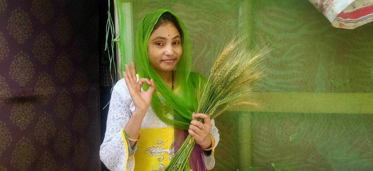 ManjuDevi42292's tweet photo. Special Recipe tips 🔥 My YouTube channel 👉 #Mansifastfood 👈 https://t.co/vIlMqfWUko