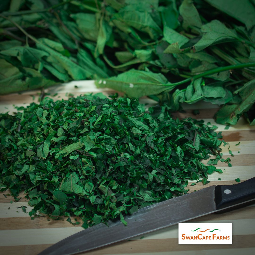 SwancapeFarms's tweet photo. Don’t be caught shopping last minute for Easter. Call or WhatsApp 0818-000-0724 to place an order for your fresh farm produce and let’s get you sorted.
#swancapefarms #farmersinlagos #youronestopshop #fromearthtothepot #freshrodo #freshpepper https://t.co/0SibZJKCTi
