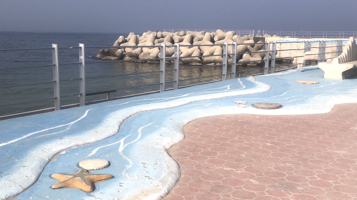 ⋆˚.•✩‧₊⋆