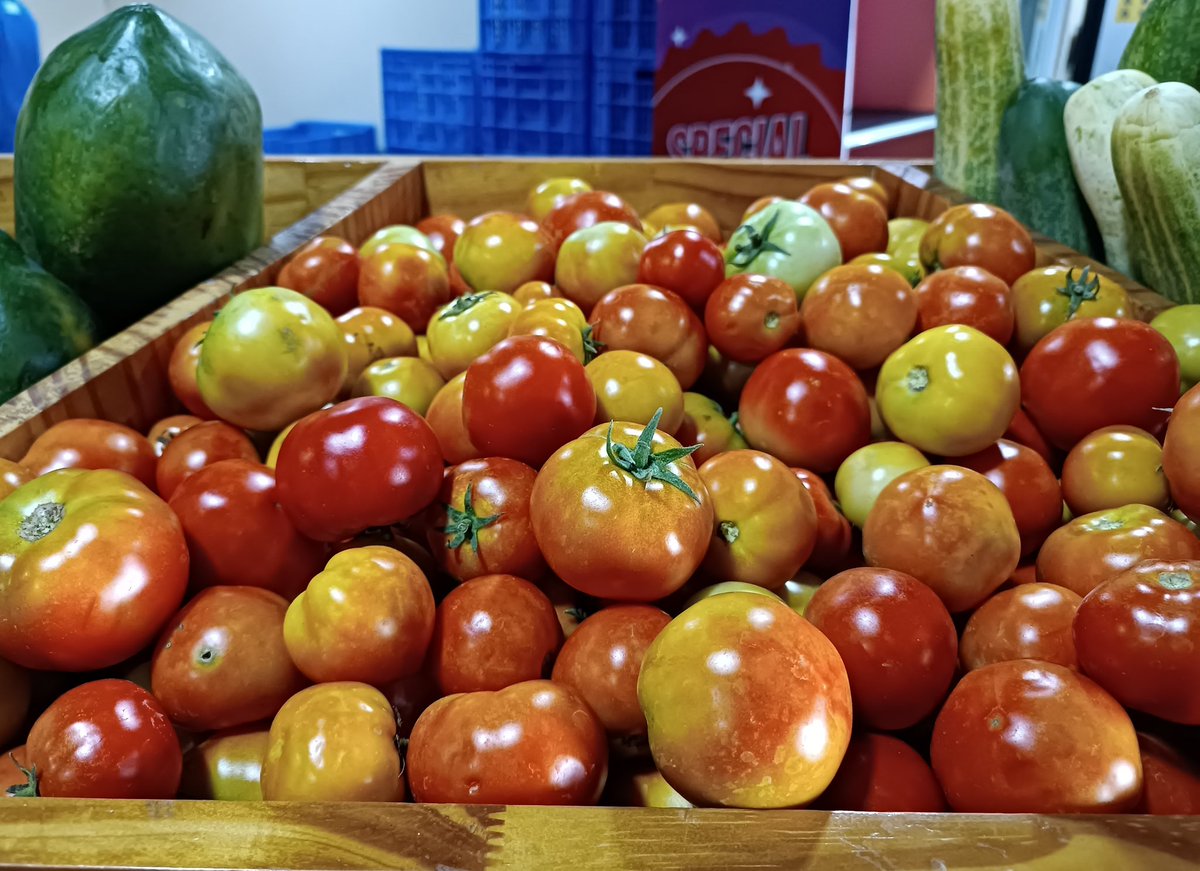 ކ. ކާށިދޫ އިން ތާޒާ ޓޮމާޓޯ ޝިޕްމެންޓެއް މިއަދު ވަނީ ލިބިފަ. 🙂 
ހޯލް ސޭލް:25 ރުފިޔާ (5 ކިލޯއިން ފެށިގެން)
އޯޑަރު ކޮށްލެއްވުމަށް 3012640 އަށް ގުޅުއްވާލައްވާ، ނުވަތަ 7291130 ވައިބާރ ކޮށްލައްވާ!

💯% #DhivehiUfehdhun 🌱