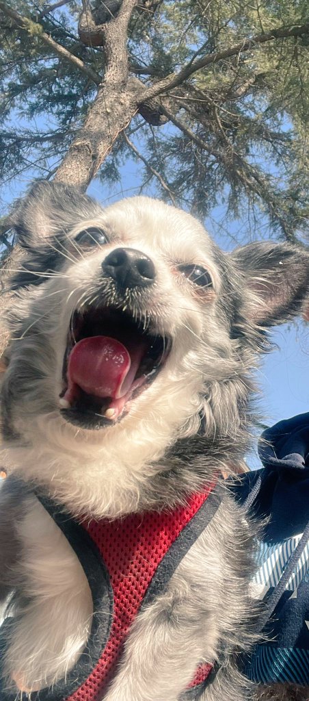 Mustafa A.✍️ (@speddykatip) on Twitter photo 