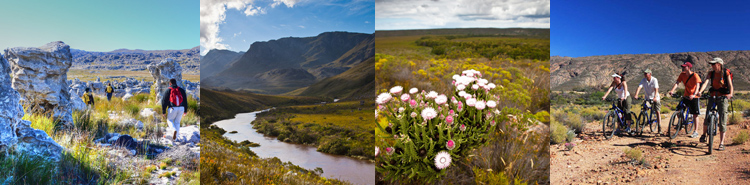 📌Cape Nature

- CapeNature Conservation seeks to appoint a dynamic person (x3) to assist with administration, tourism management, and infrastructure maintenance at the Limietberg Nature Reserve.

capenature.simplify.hr/Vacancy/56239

Paarl, Western Cape
Closing Date: 07 April 2023