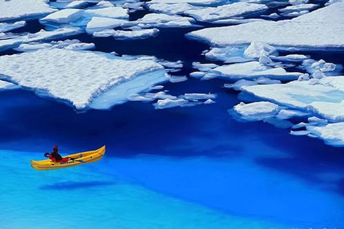 Floating in Blue, Glacier Bay, Alaska #FloatinginBlue #GlacierBay #Alaska spooningrecipes.com
