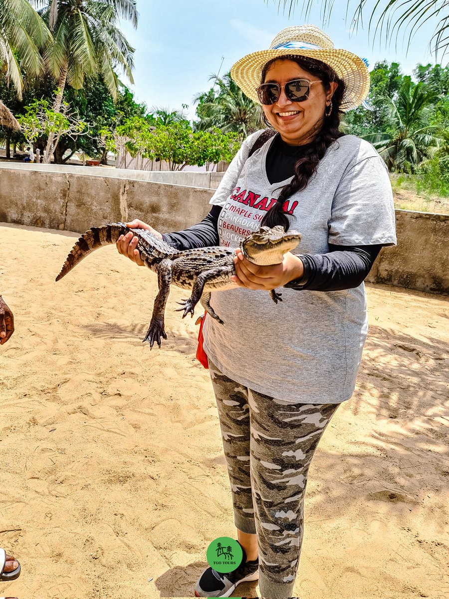 TheGetOutGH's tweet photo. Take us back to Ada! We spent our days exploring the pristine islands of the Ada Estuary, lounging on the beaches of Crocodile Island, and taking shots on Rum Island. It was the ultimate escape from reality
@thegetoutgh 
#explorewithtgo #crocodileisland #rumisland #adaestuary https://t.co/wVV2Wn5Nz2