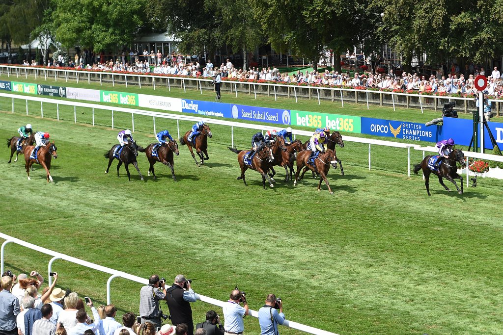 bettinganalystt's tweet photo. Interesting days racing ahead:

My advice:

Pay particular attention to the ground!

We sent out bets on 6 races: 

Wincanton 4.00 - 4.35 - 5.05

Nottingham - 2.05 - 3.50 (big bet) - 4.25

We add the occasional tip to: https://t.co/ztZWHzZw6F

#racingservice #racingpicks https://t.co/Sx3Lo7PT44