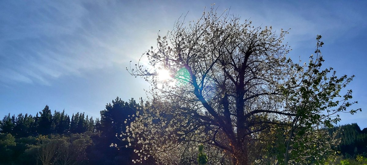 Apez140's tweet photo. #Momentos
De #Contraluces en Aliezo para Saludarte nuestra muy Querida @currelator, y Desearte junto a Inma toda Alegría, Felicidad y cosas maravillosas en esta semana Santa que inicia Concha.
Abrazos y Besos mil van para allá con ellos ...🧚♂️😎 https://t.co/gOOHz1Z6DZ