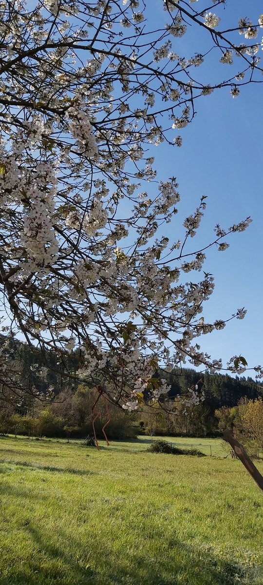 Apez140's tweet photo. #Momentos
De #Contraluces en Aliezo para Saludarte nuestra muy Querida @currelator, y Desearte junto a Inma toda Alegría, Felicidad y cosas maravillosas en esta semana Santa que inicia Concha.
Abrazos y Besos mil van para allá con ellos ...🧚♂️😎 https://t.co/gOOHz1Z6DZ